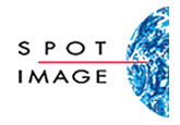 Логотип Spot Image
