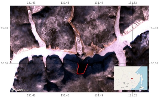 Снимок со спутника Sentinel-2B от 12.12.2018 . Сплошной красной линией  показаны контуры оползня, возникшего на левом (южном) берегу водохранилища. На врезке красной точкой отмечено водохранилище Бурейской ГЭС.